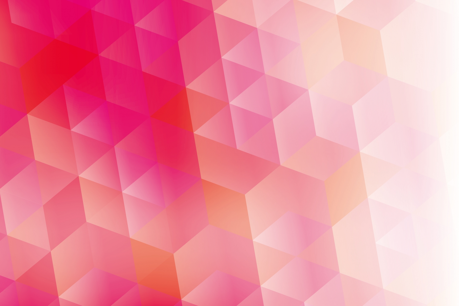 会員専用ページ